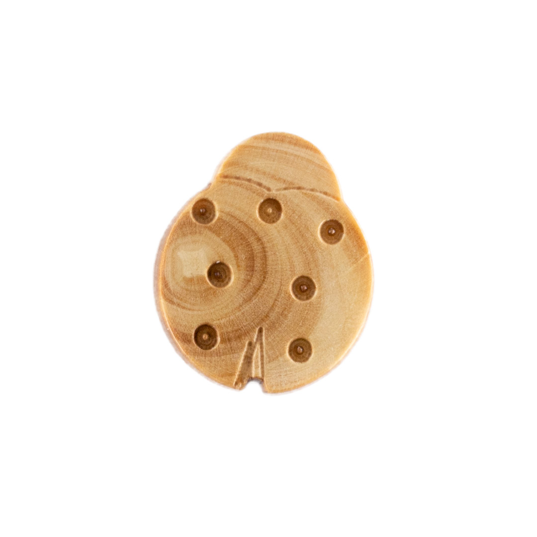 _DSX2895-Modifier Bouton en Bois Coccinelle