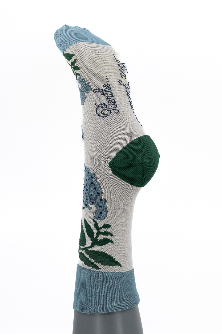 Berthe aux grands pieds_ Fleur bleue Longue-2