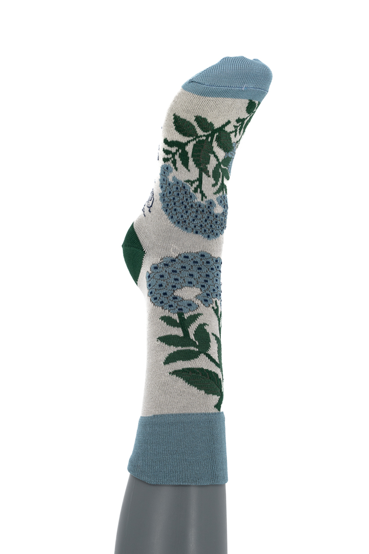 Berthe aux grands pieds_ Fleur bleue Longue